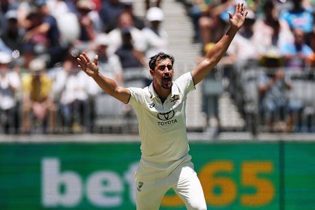 Paceman Mitchell Starc has had plenty of experience bowling at the WACA in Perth. 