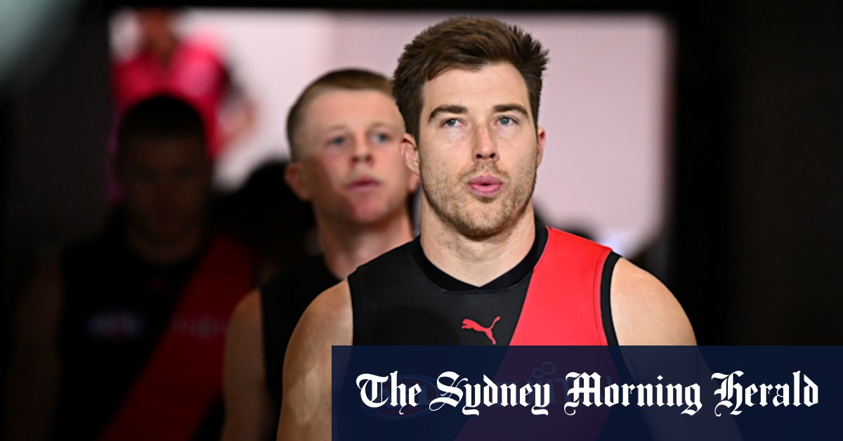 Hawthorn coach Sam Mitchell meets Essendon captain amid Bombers exit talk