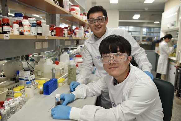 Cheng Zhang (back) and Xiao Tan are working to extract “forever chemicals” from the environment.