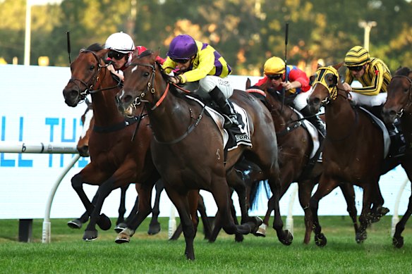 Racing returns to Rosehill on Saturday. 