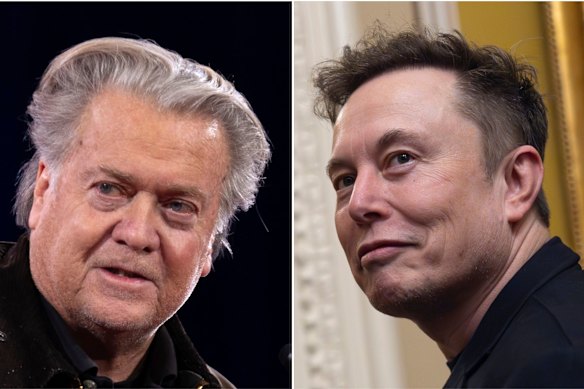 Steve Bannon and Elon Musk.