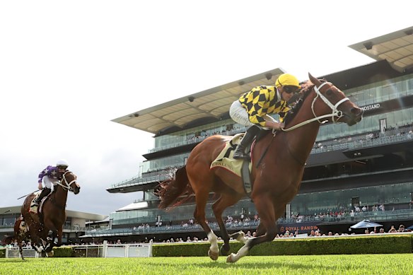 Autumn Glow cruises to victory in the Apollo Stakes.