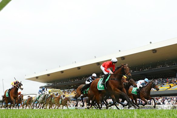 Kingston Charm in winning form at Rosehill. Will be hoping for more success on Saturday at Randwick.