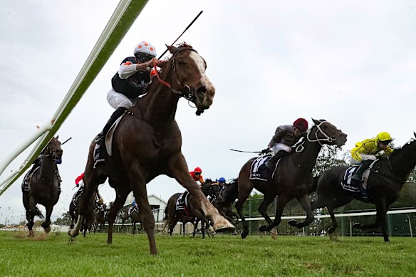 Just Folk, left, winning the 2024 Hawkesbury Cup.