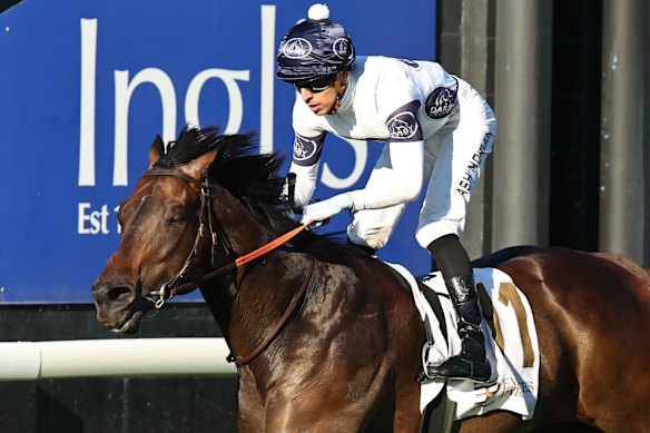 Caballus winning the listed Ortensia Stakes at Scone in May last year.