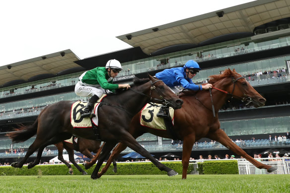 Tempted (royal blue) wins the Reisling Stakes.