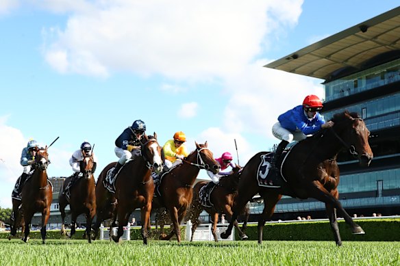 William Stanley rides Flying Embers to win at Royal Randwick Racecourse on May 24, 2025.