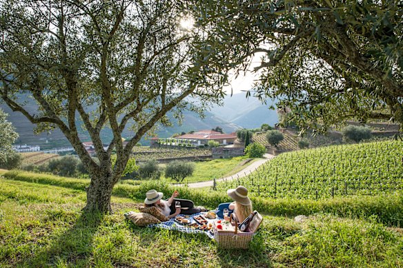 Picnicking among the vines near the idyllic village of Pinhao, Portugal.
