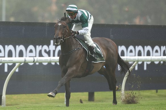 Nash Rawiller drives Future History to victory in the January Cup.