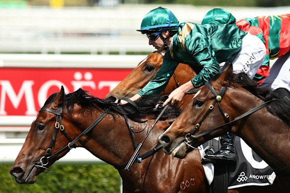 Tommy Berry winning the Breeders Plate on Incognito in October.