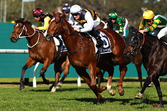 Yoshinobu is a progressive four-year-old that can make it two straight with a hefty drop in weight.