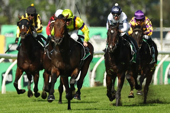 Boys Night Out wins at Rosehill in May.