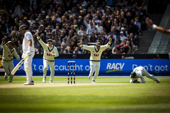 The Australians were overjoyed at snaring Joe Root’s wicket on Boxing Day.