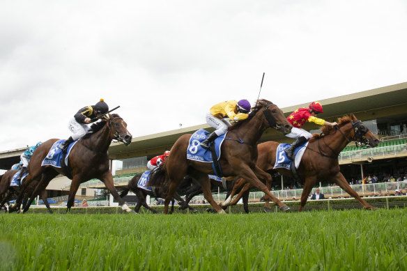 Warwick Farm volition  big   a seven-race paper  connected  Wednesday.