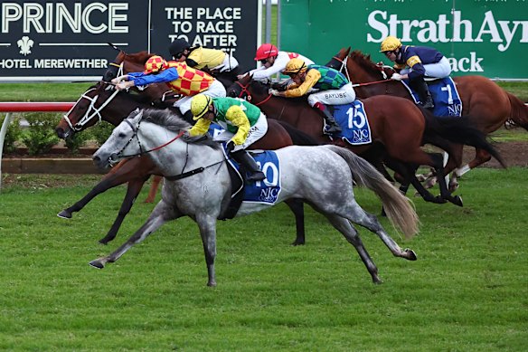 Sir Ravanelli coming down the outside to win on heavy going at Newcastle on Gosford’s transferred The Coast meeting in May 2024.