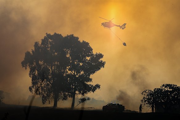 Firefighters and local police are on the scene of a wildfire in Rome.