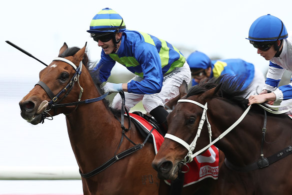 Attrition wins the Hill Stakes last year with Beau Mertens aboard. Kerrin McEvoy takes the ride in Saturday’s defence.
