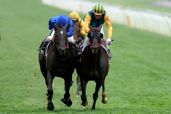 Chad Schofield on Ceolwulf (right) won by the narrowest margin in the Champions Mile.