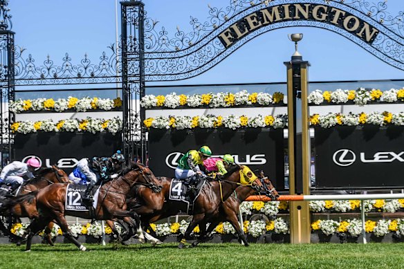 Knight’s Choice, inside, wins the 2024 Melbourne Cup in a driving finish against Warp Speed (No.4).