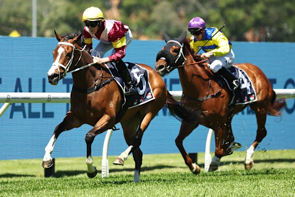 Modella winning at Rosehill on October 11.