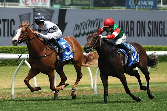 Zac Lloyd rides Spicy Miss, left, in the Lonhro Plate.