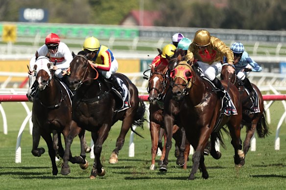 Racing is on at Gosford on Wednesday. 