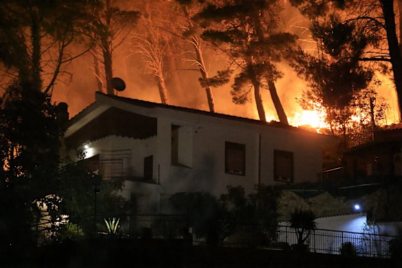 Firefighters battle a blaze in the Casaboli Forest near Palermo, Italy, on Thursday.