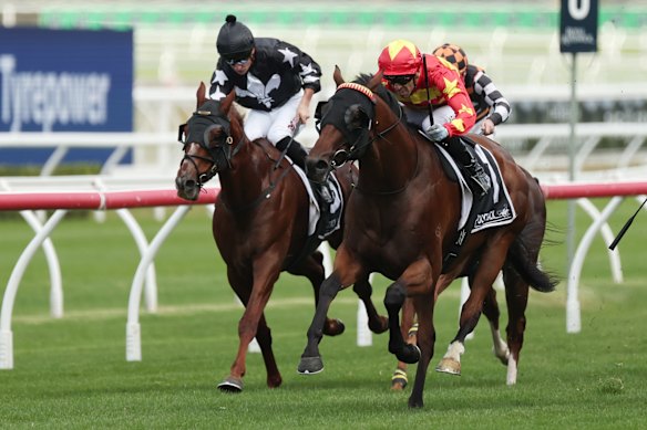 Ash Morgan rides Matcha Latte to victory in the Provincial-Midway Championship final at Randwick last year.