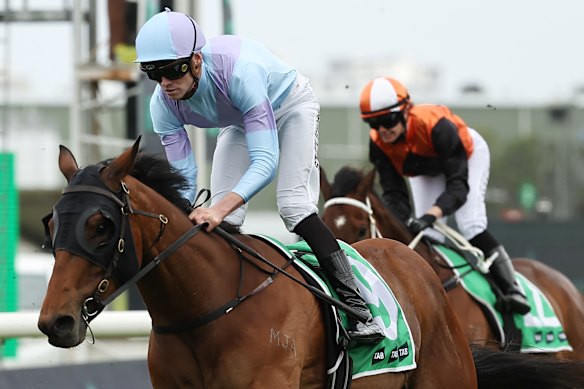 Who Ever Thought winning the Highway Handicap at Rosehill on October 12, 2024.