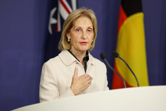 Special Envoy to Combat Antisemitism Jillian Segal has criticised the ABC’s reporting on an incident in the early days of Israel’s offensive on Gaza.