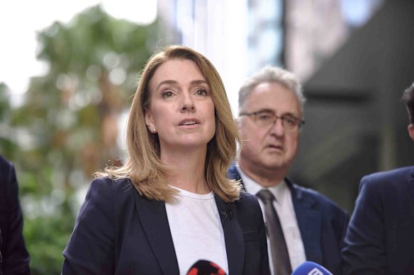 Newly minted NSW Opposition Leader Kellie Sloane.