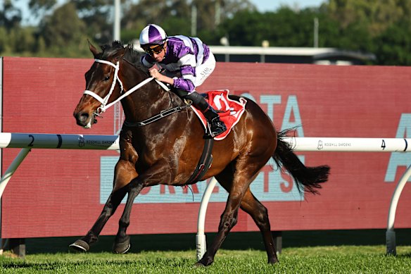 Lindermann wins the Hill Stakes.