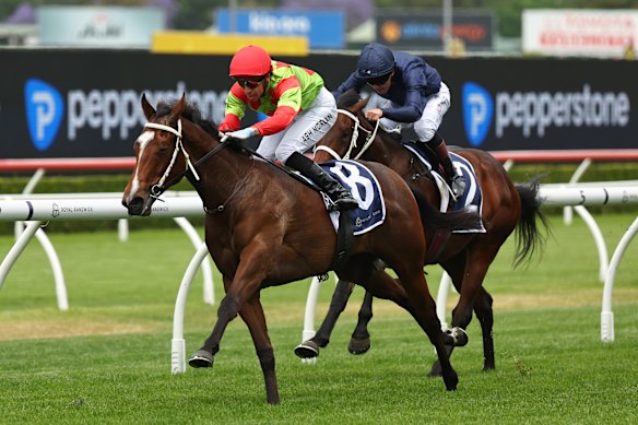 Ash Morgan wins on Thrill Hunter in the Kirkham Plate.