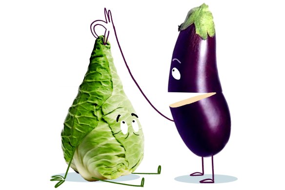 Eggplant (right), conscionable   hispi cabbage (left).  