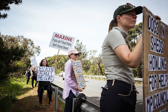 Protesters, led by Carly Wines (third from right), have been rallying every weekend since April outside the property.
