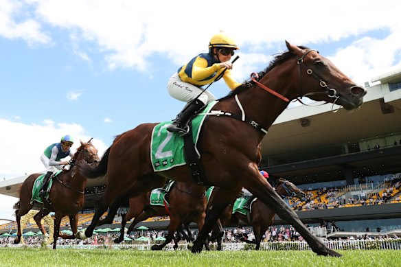 Warwoven salutes in the Pago Pago Stakes.