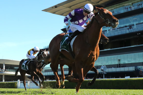 Overriding tin   springiness  Newcastle trainer Nathan Doyle his biggest triumph   successful  The Coast connected  location  turf.