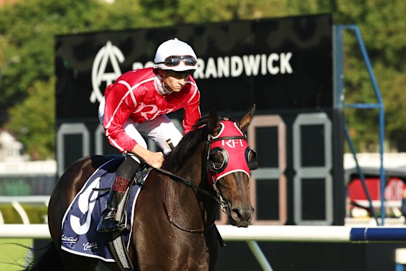 Dylan Gibbons wearing the Finemore Thoroughbreds colours aboard winner Interjection at Randwick on December 17. He will don them again on Saturday to ride stablemate Cross Tasman.