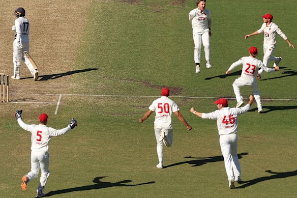 South Australia claimed back-to-back Sheffield Shield titles.