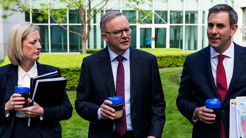 Government will need to tread carefully through budget storm