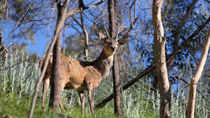Farmers and environment groups condemn government’s “offensive” protection plan