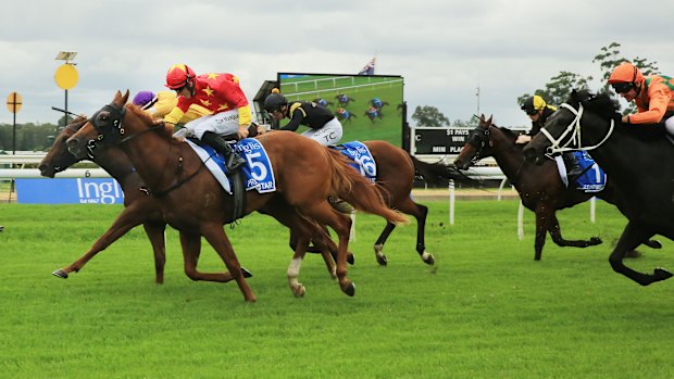 Racing returns to Warwick Farm on Wednesday.