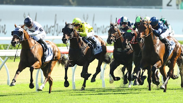 Robusto (left) wins the group 2 The Ingham at Randwick in December.
