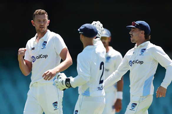 Josh Hazlewood celebrates taking a wicket for NSW on Wednesday.