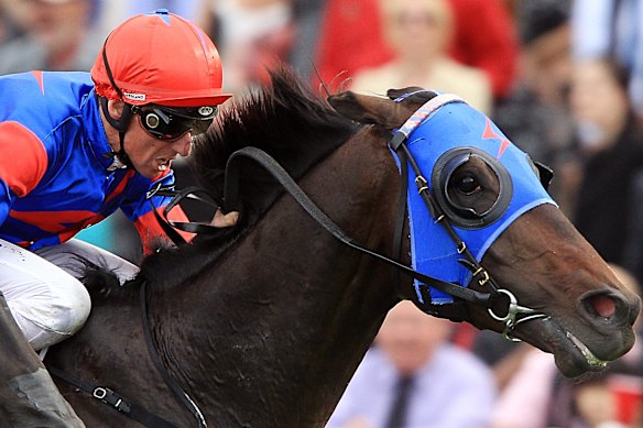 Former Group 1 winner Pierro.