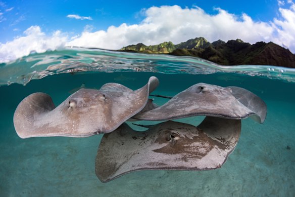 There’s water, then there’s the water in Tahiti.