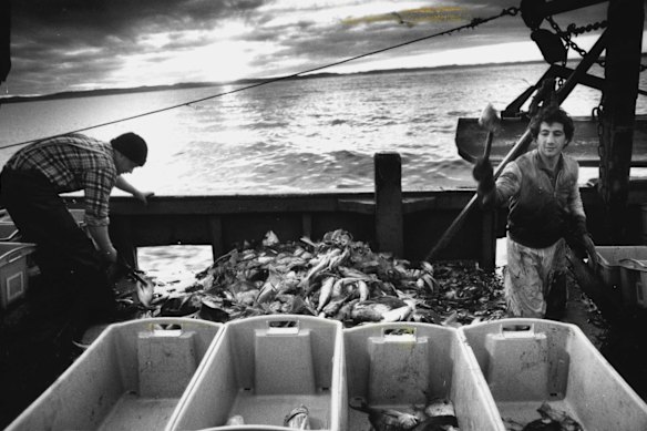 Deckhands on the Arakiwa, a Bagnato trawler.