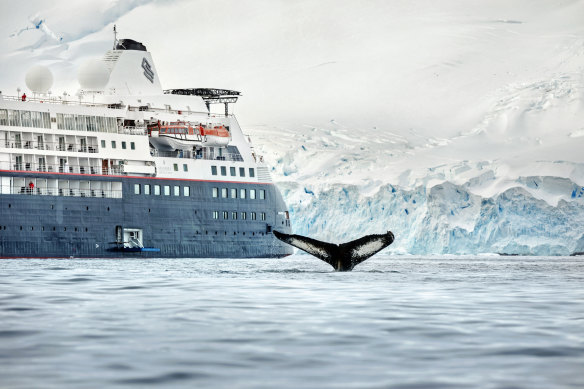 Silversea in Antarctica.