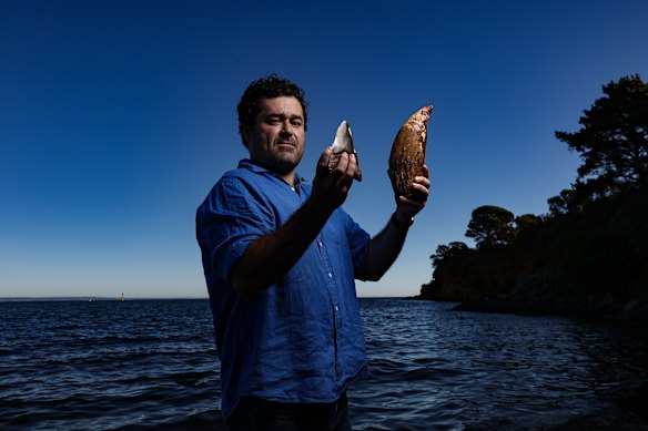 Palaeontologist Ben Francischelli at Beaumaris holding Otodus megalodon (giant shark) and Livyatan (killer sperm whale) teeth.
