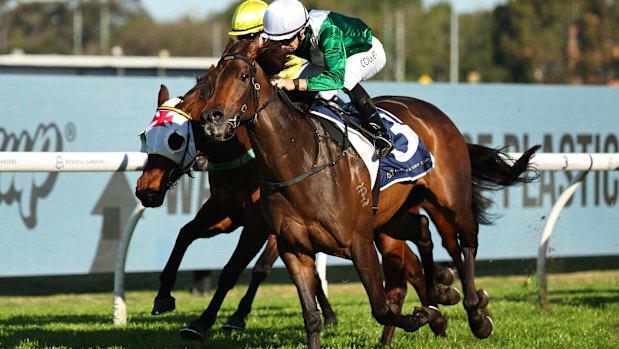 Jason Collett wins on Manaal.